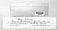 Image Associated With the Occurence